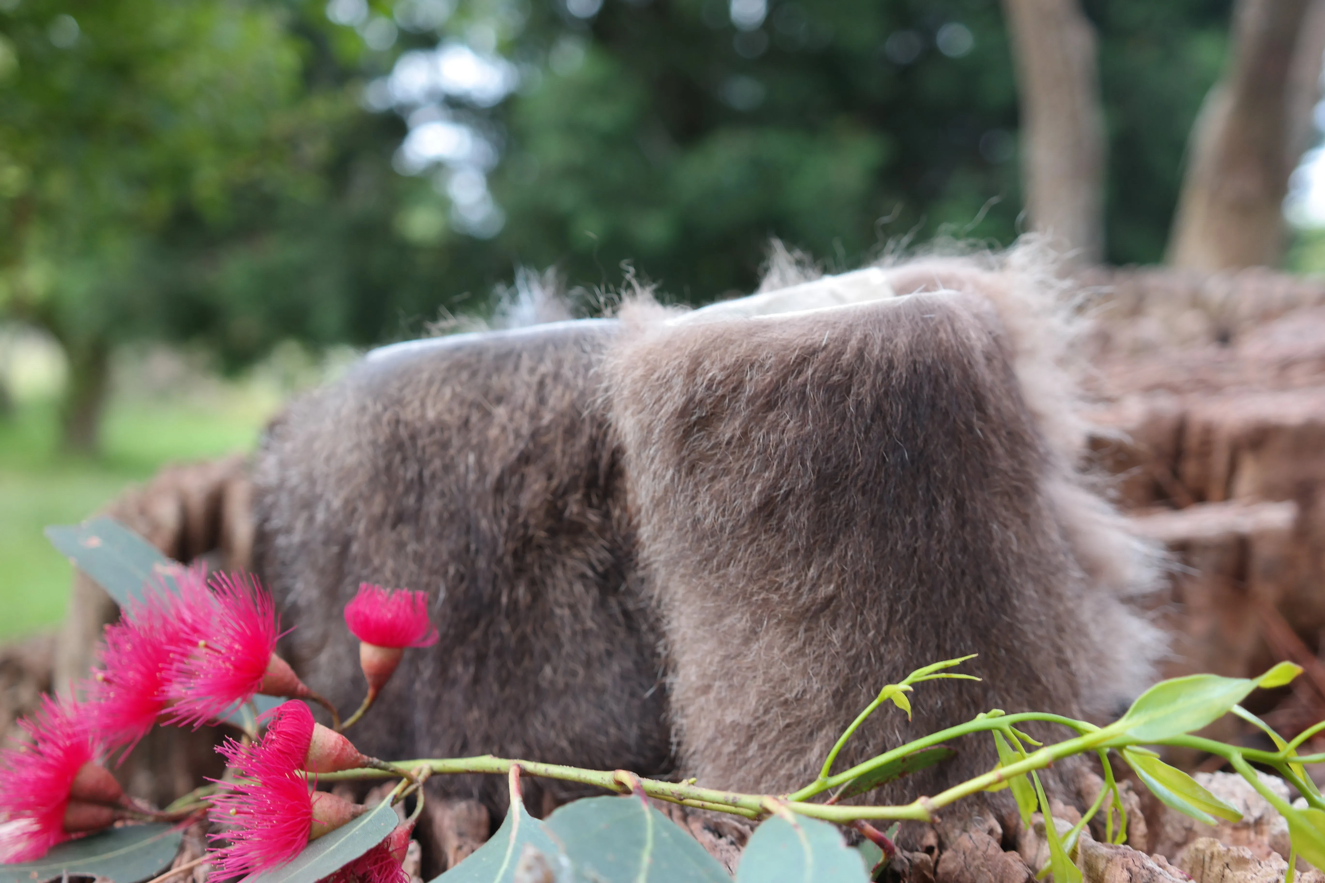 Beer Coat - Wallaby Fur Stubby Holder
