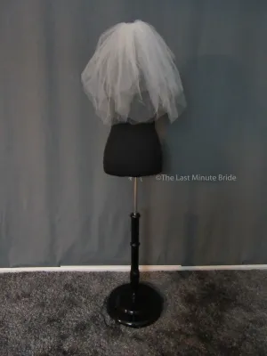 Bridal Veil: VTV310 Larimer