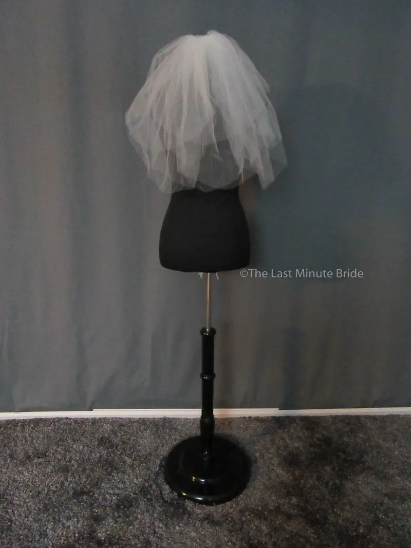 Bridal Veil: VTV310 Larimer