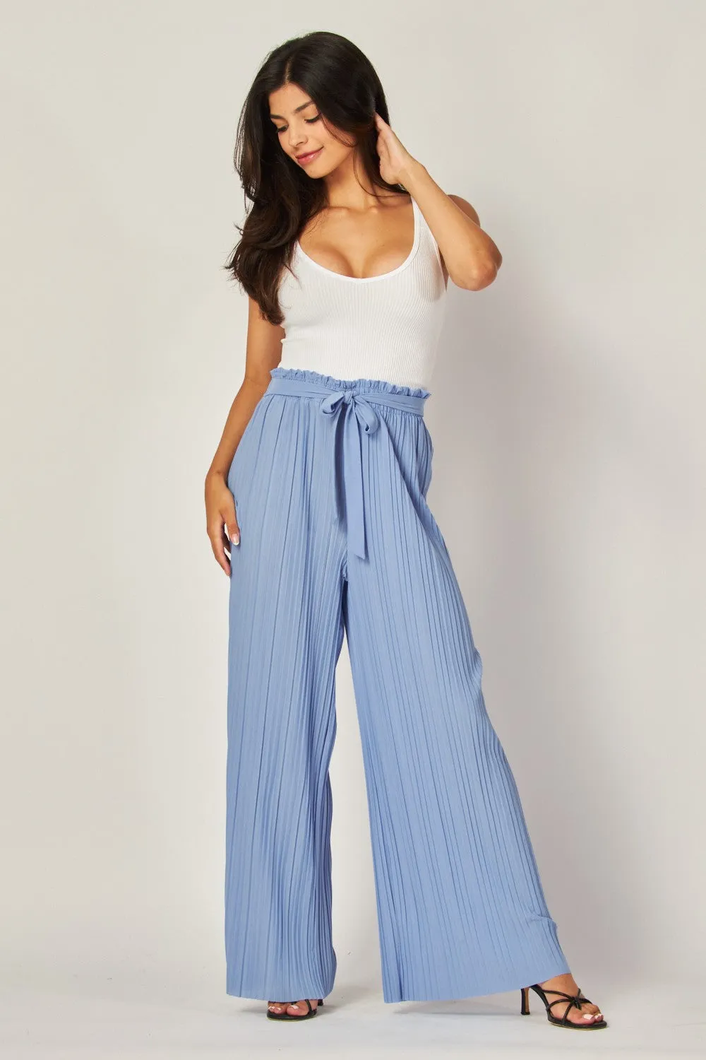 Pleated Wide Leg Pants