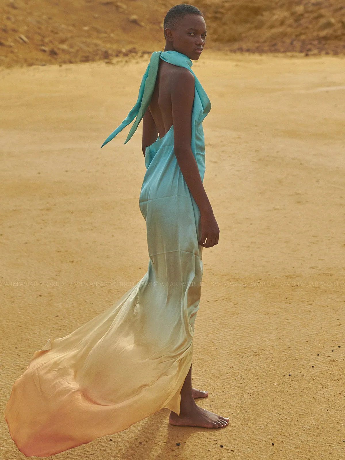 Providencia Maxi Dress