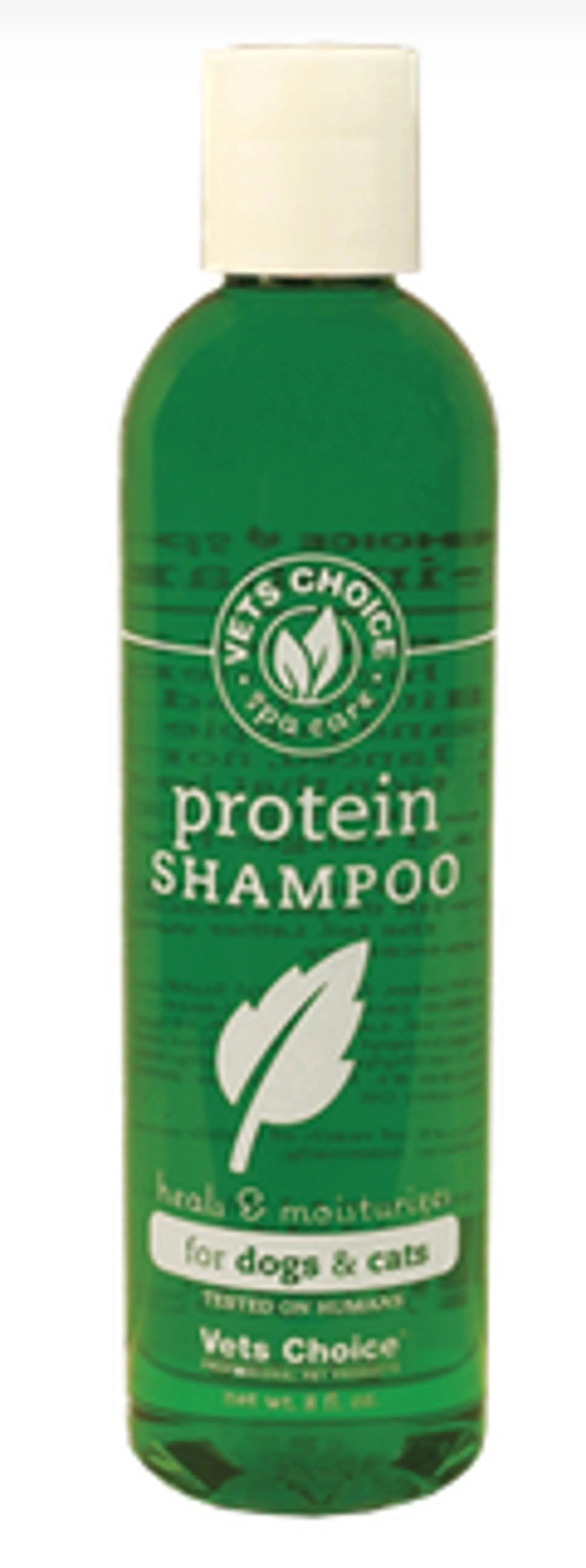 Shampoo