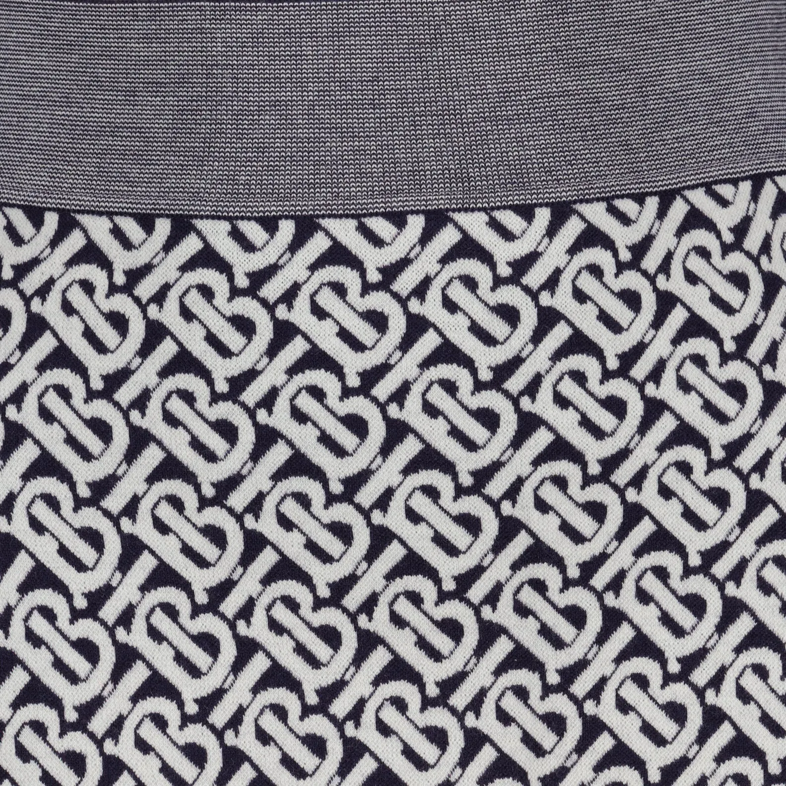 TB Monogram Pleated Skirt