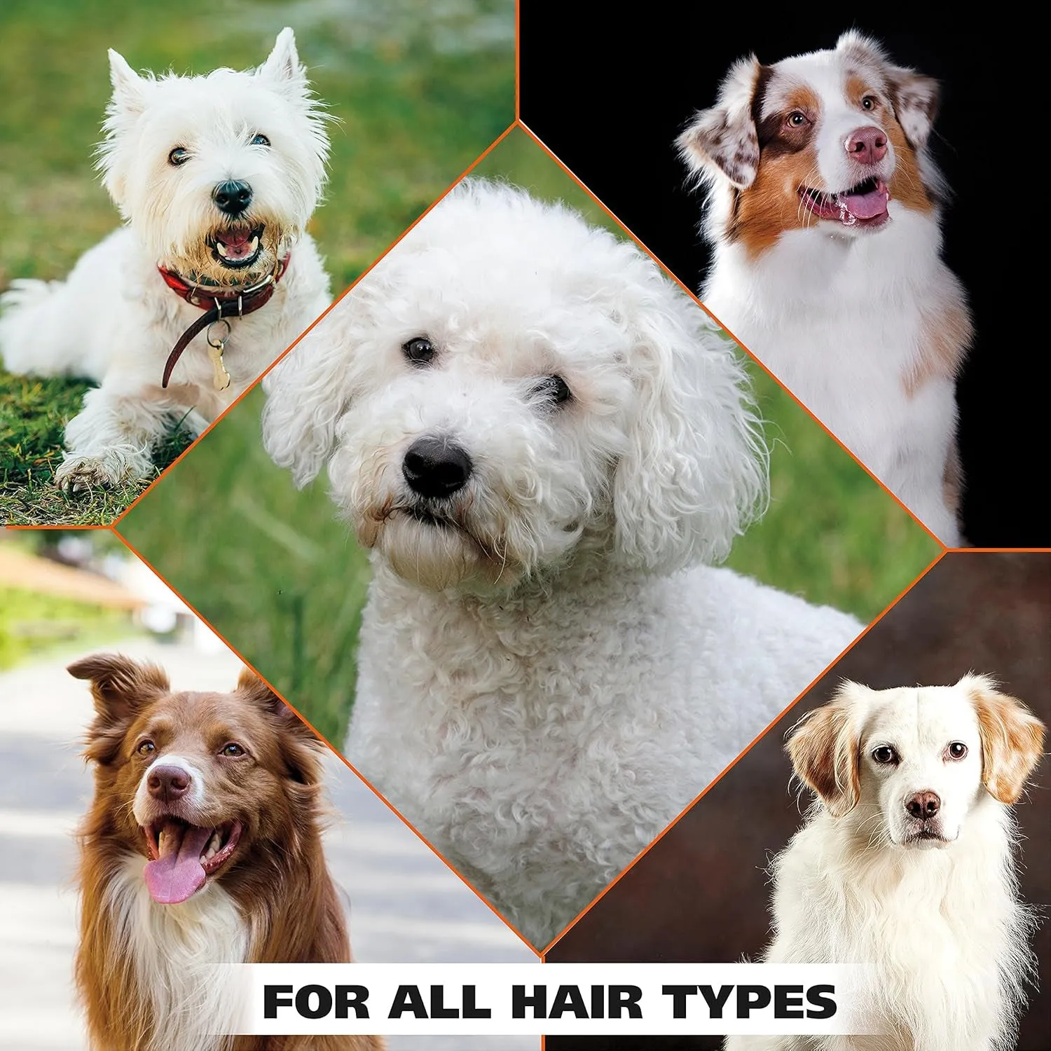 USA Whitening Shampoo White Pear Scent for Pets – Whitening & Animal Odor Control with Silky Smooth Results for Grooming Dirty Dogs – 24 Oz - Model 820001A